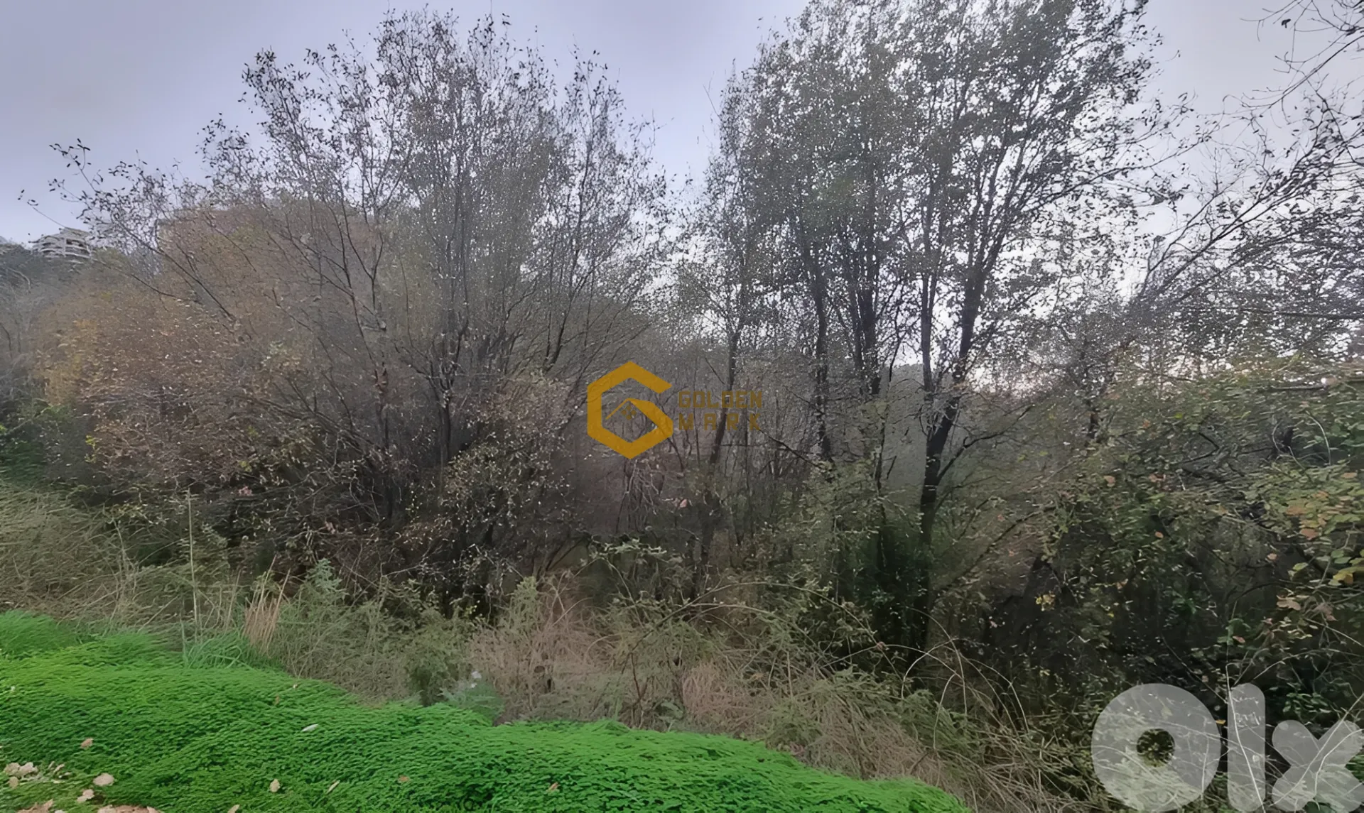 Land for Sale in Beit Chabeb