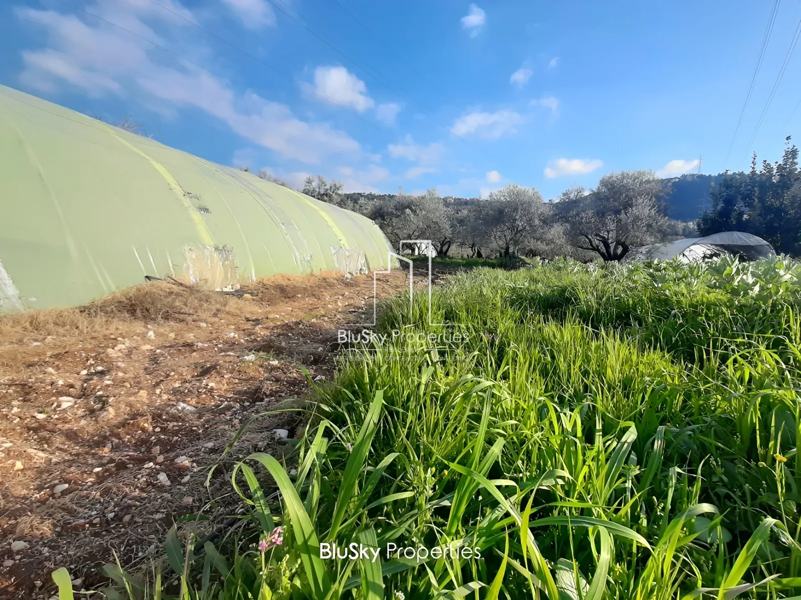 Land for Sale in Bchelli