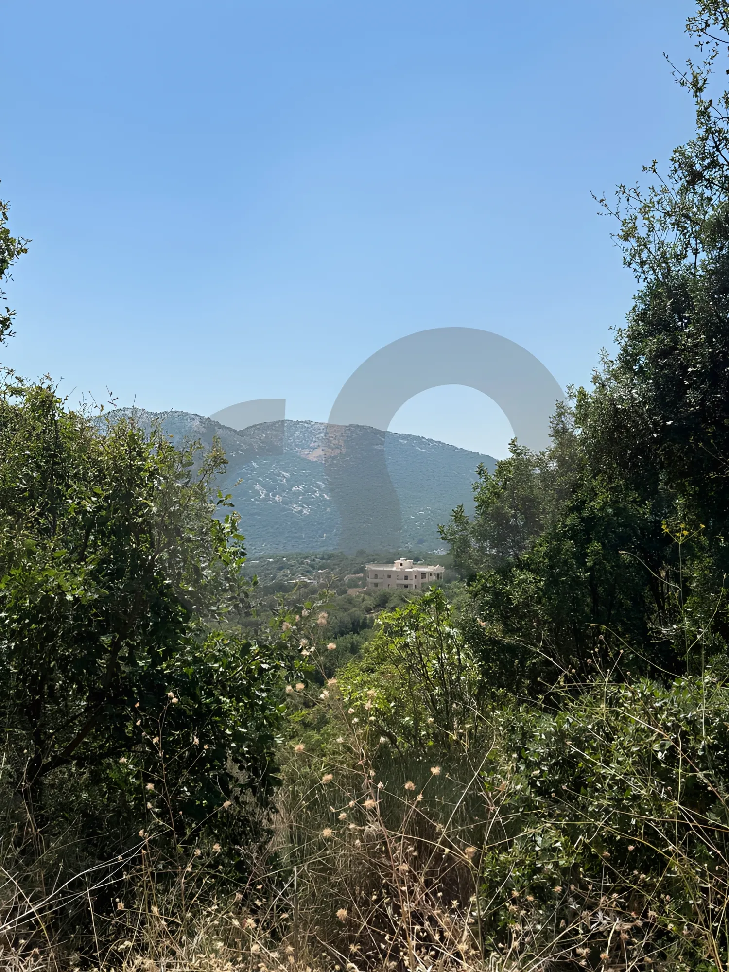 Land for Sale in Jezzine