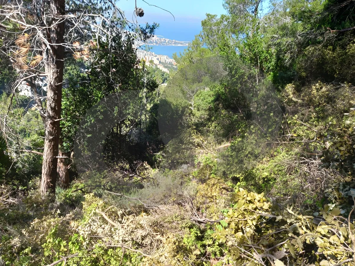 Land for Sale in Kafr, Lebanon