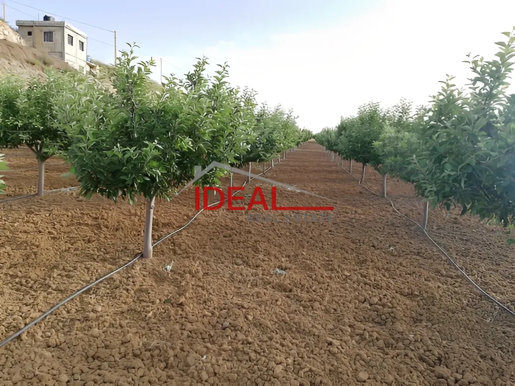 Land for Sale in Ain Dara, Lebanon