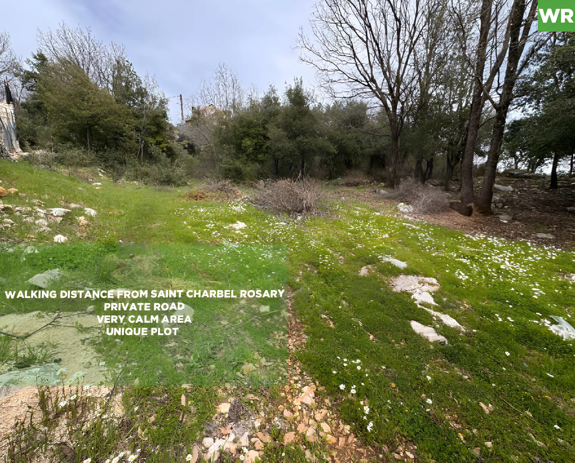 Land for Sale in Aannaya