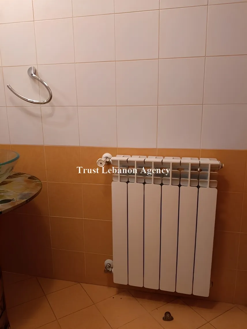 Apartment for Rent in Metn Fanar Lebanon