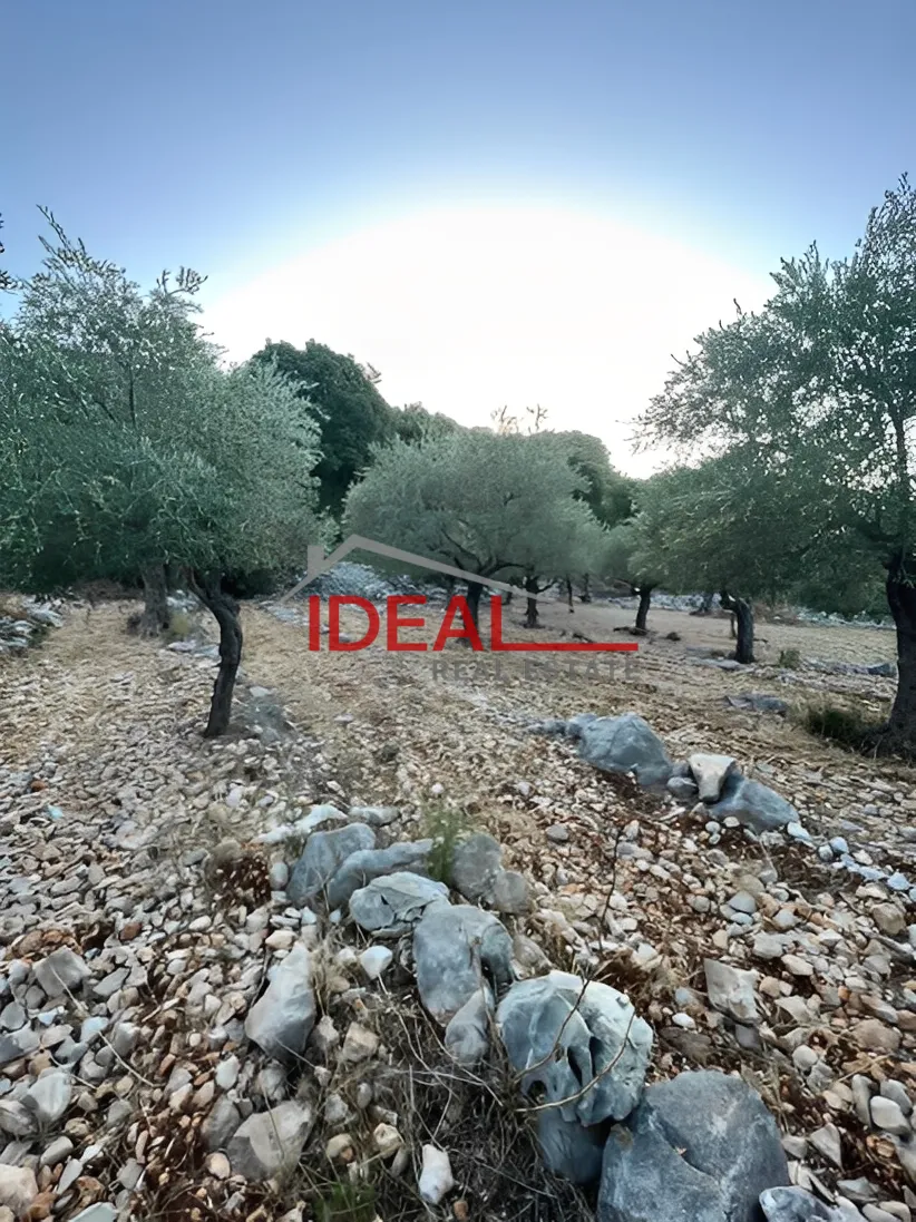 Land for Sale in Halta, Lebanon