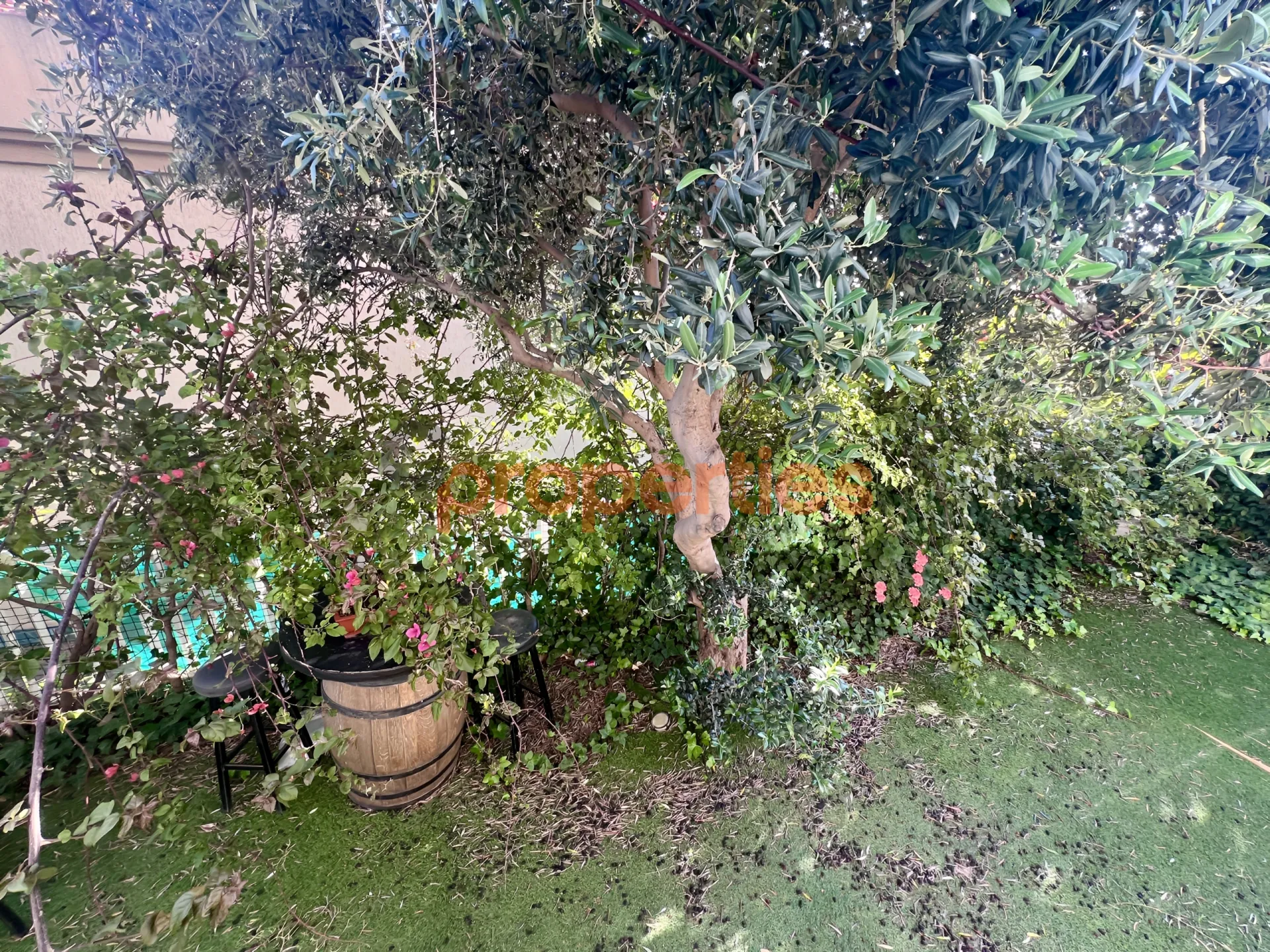 Apartment for Rent in Mar Roukouz