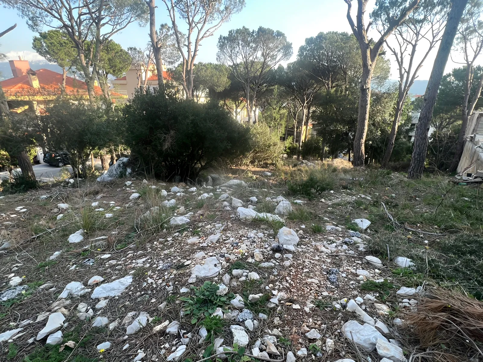 Land for Sale in Broummana