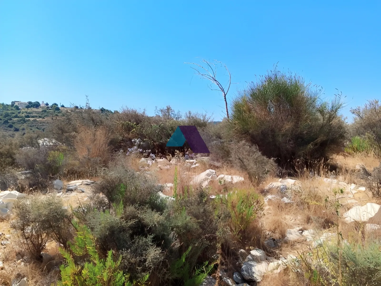 Land for Sale in Batroun