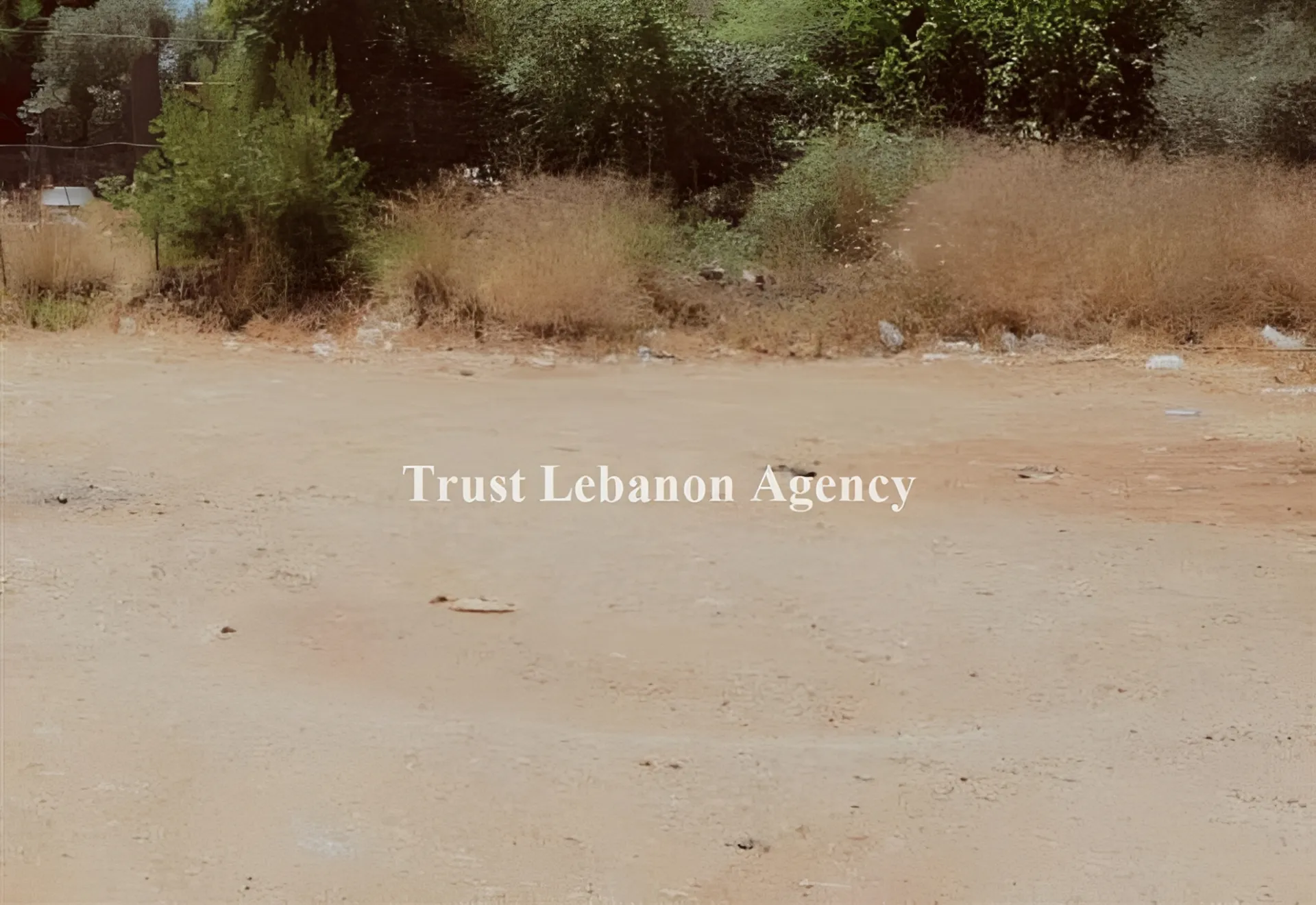 Land for Sale in Nabatiye