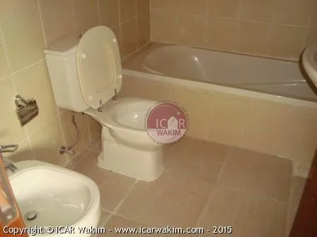 Apartment for Sale in Bsalim