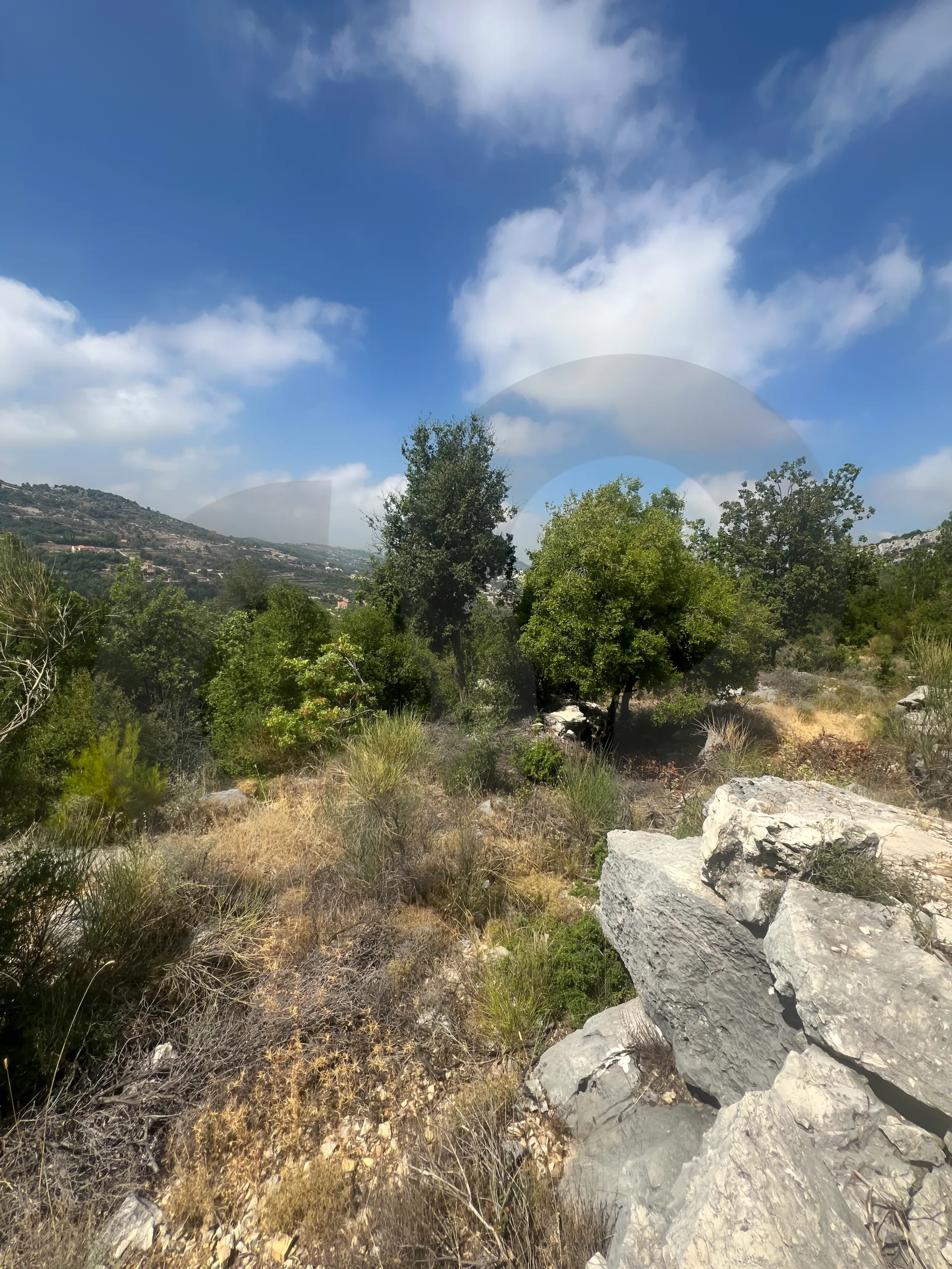 Land for Sale in Byblos