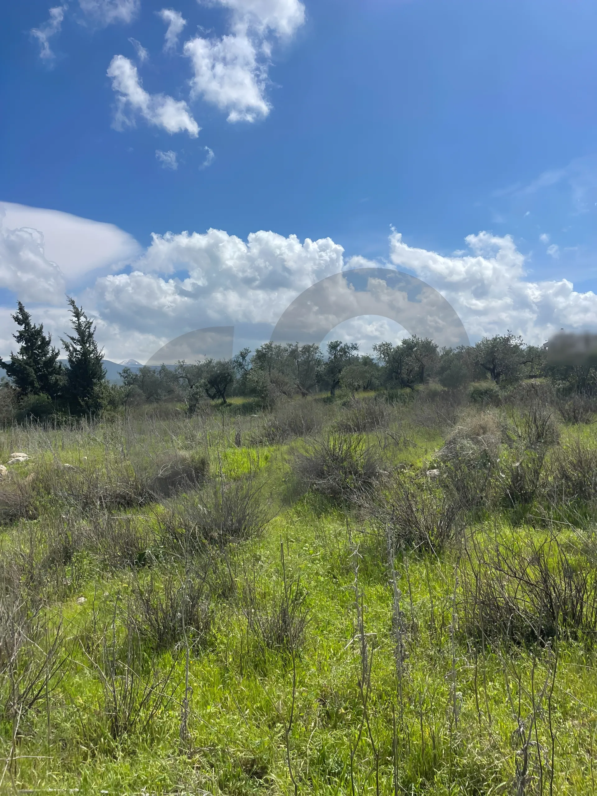 Land for Sale in Zgharta