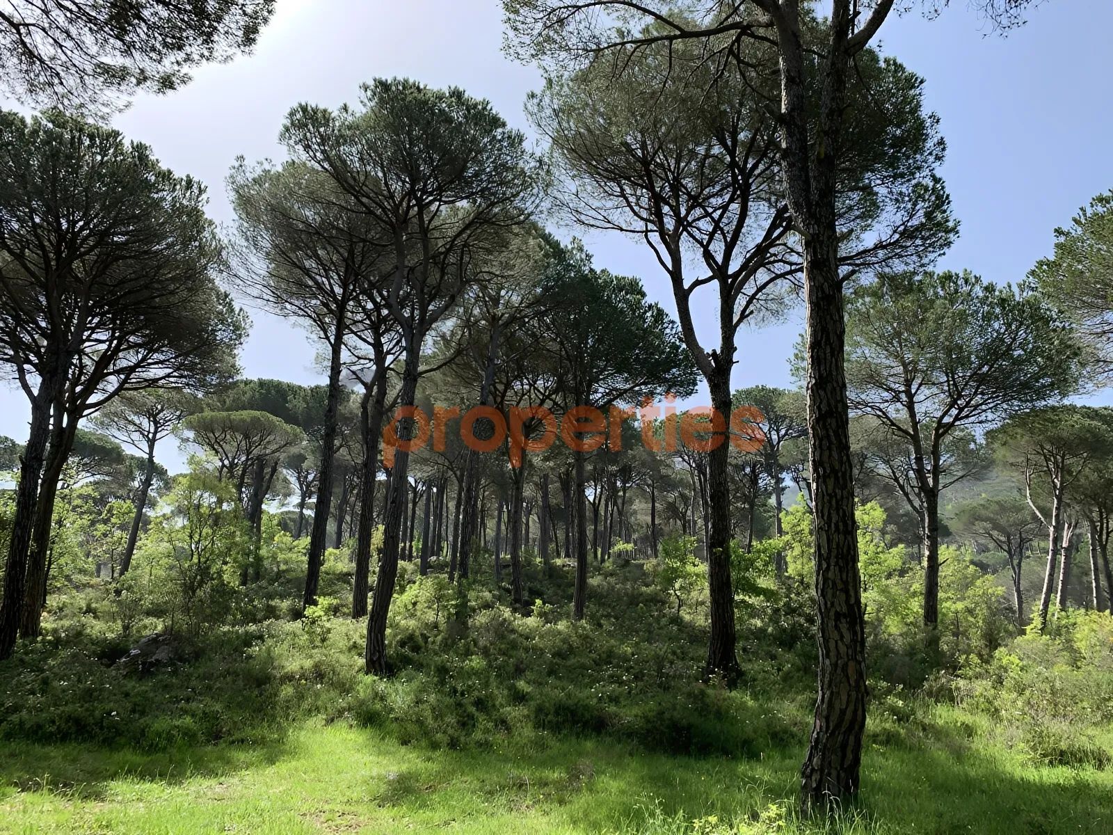 Residential Land for Sale in Wata El Mrouj