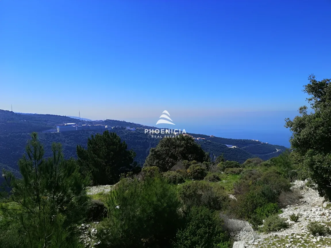 Land for Sale in Blat
