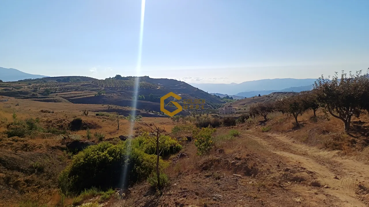 Land for Sale in Tarchich