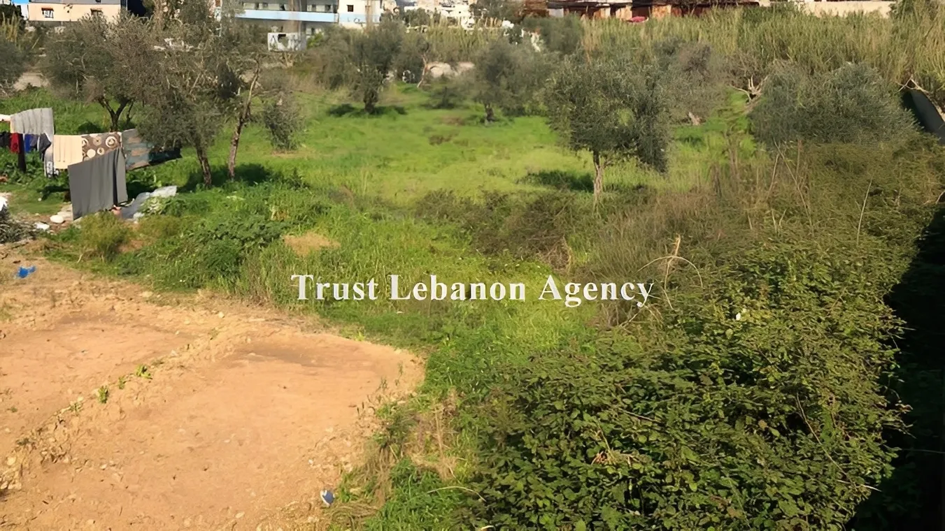 Land for Sale in Alay, chweifat
