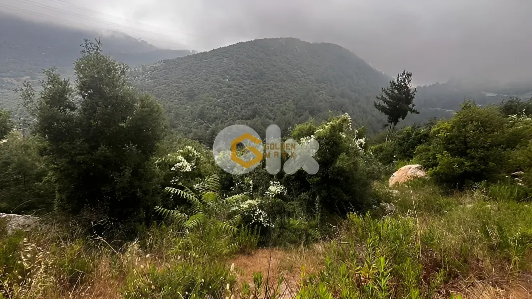 Land for Sale in Horch Hiyata