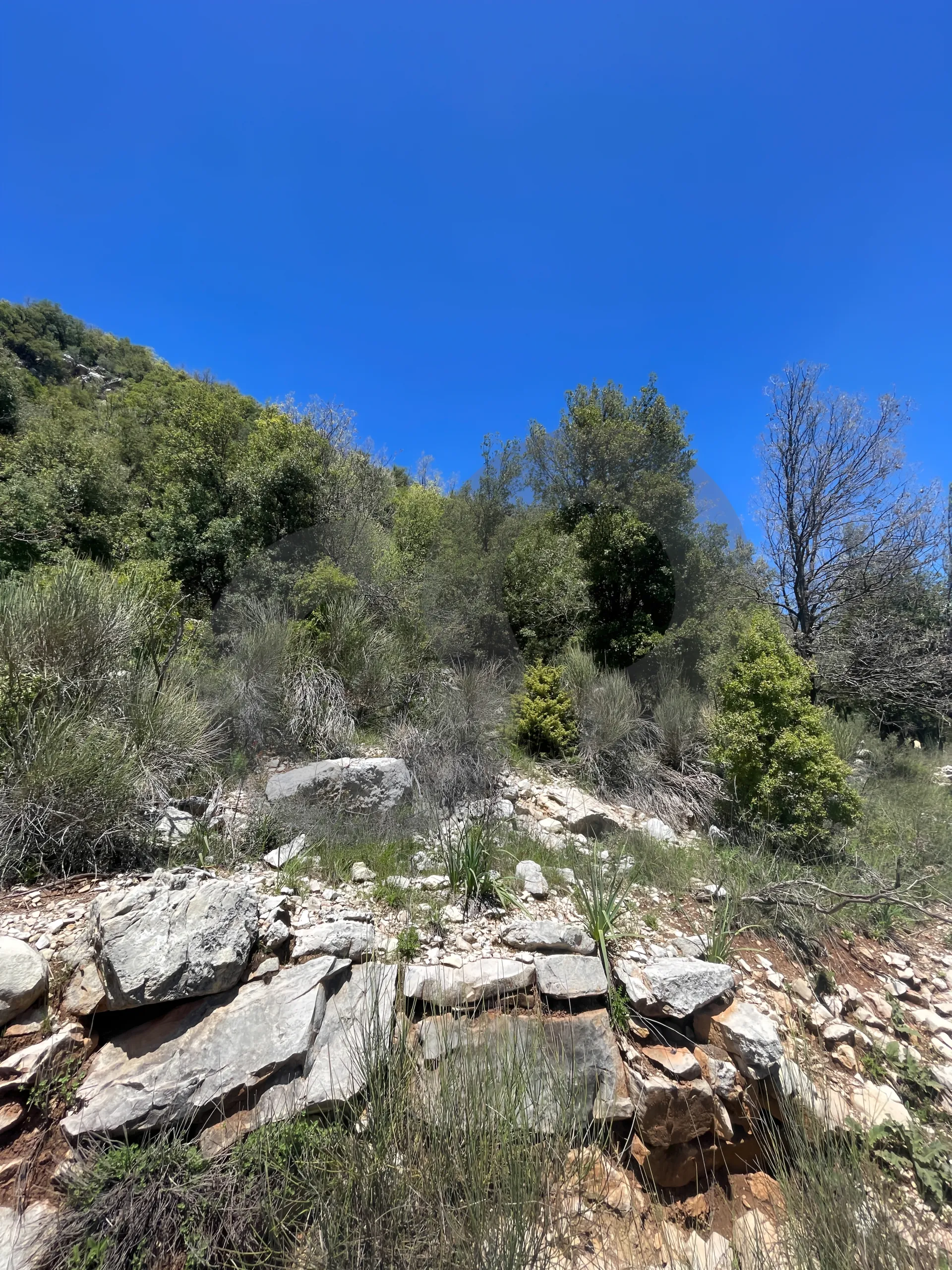 Land for Sale in Ehmej