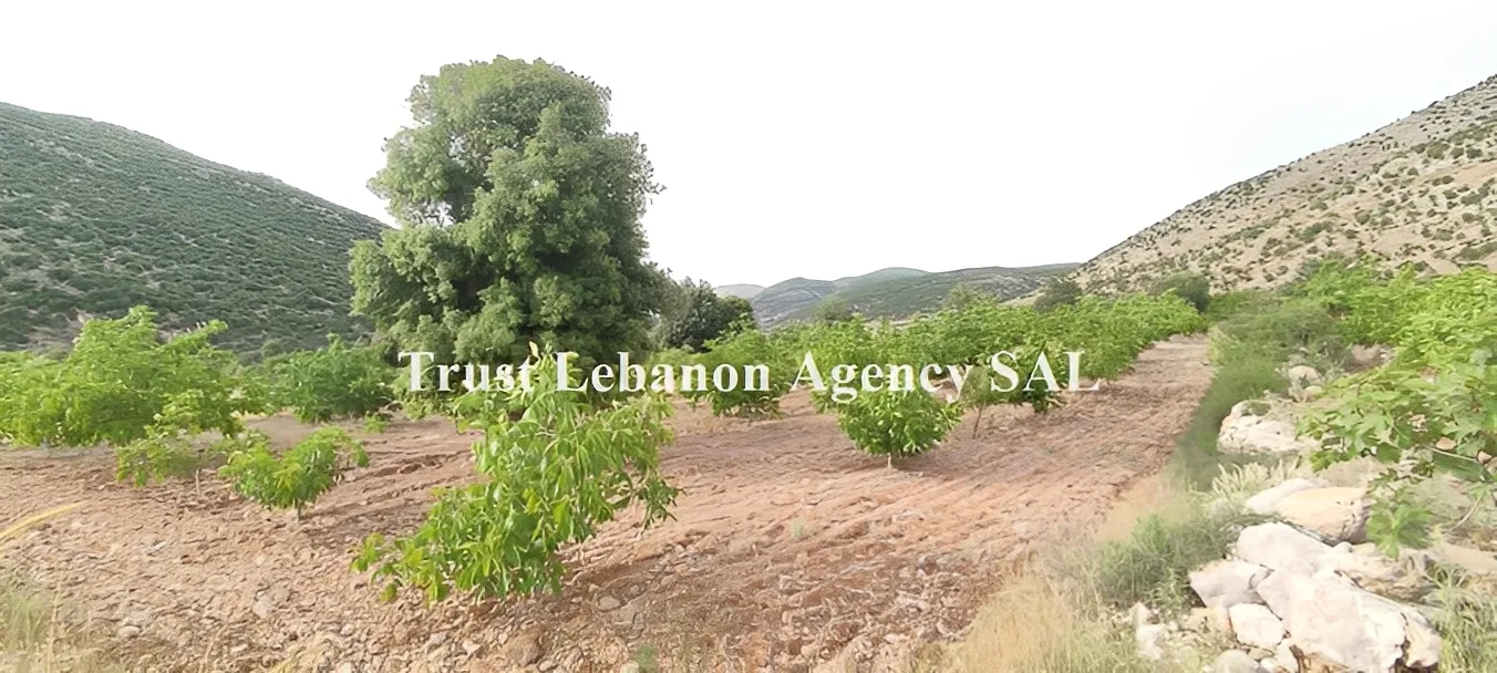 Land for Sale in Rashaya