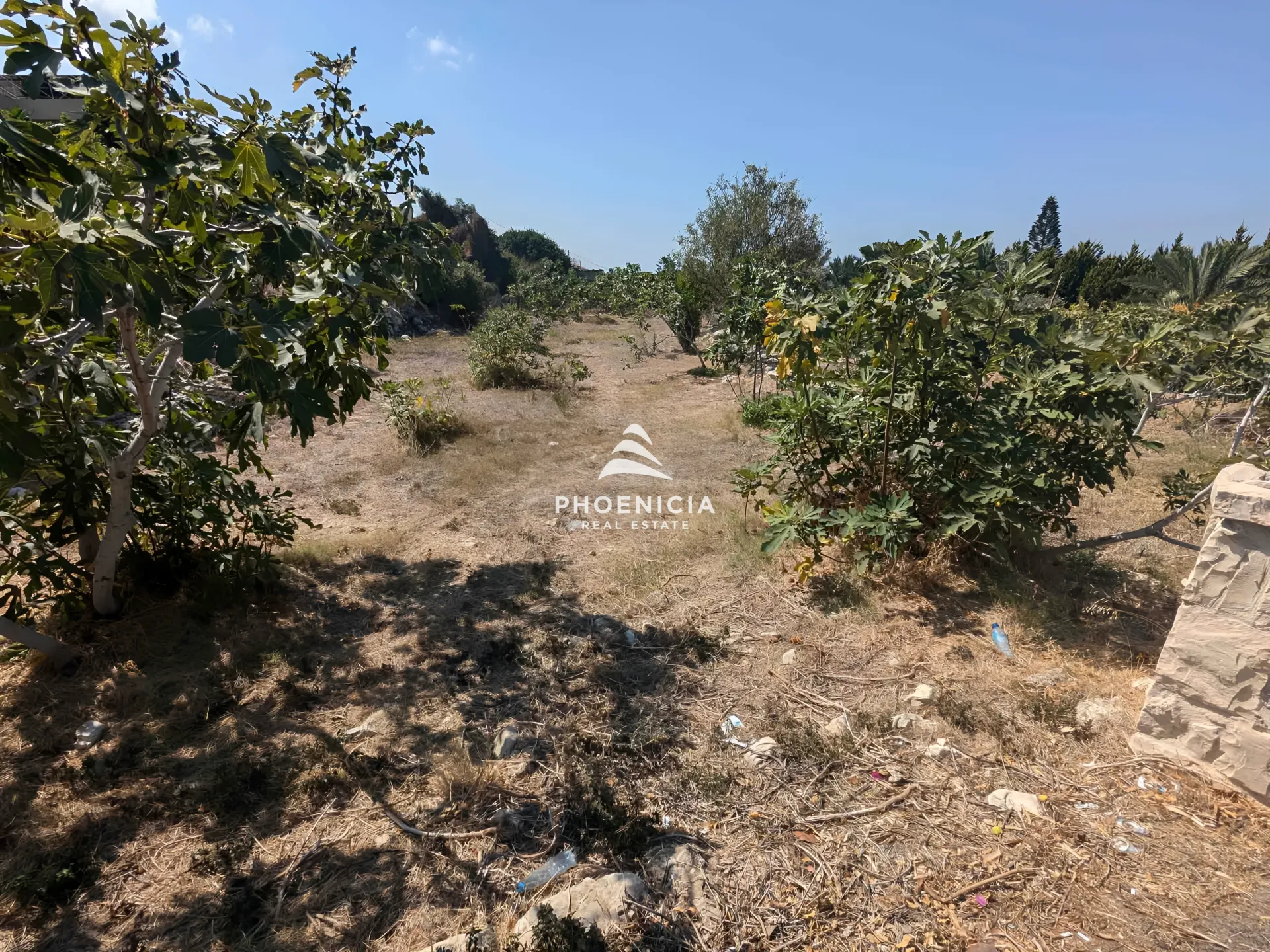 Land for Sale in Berbara