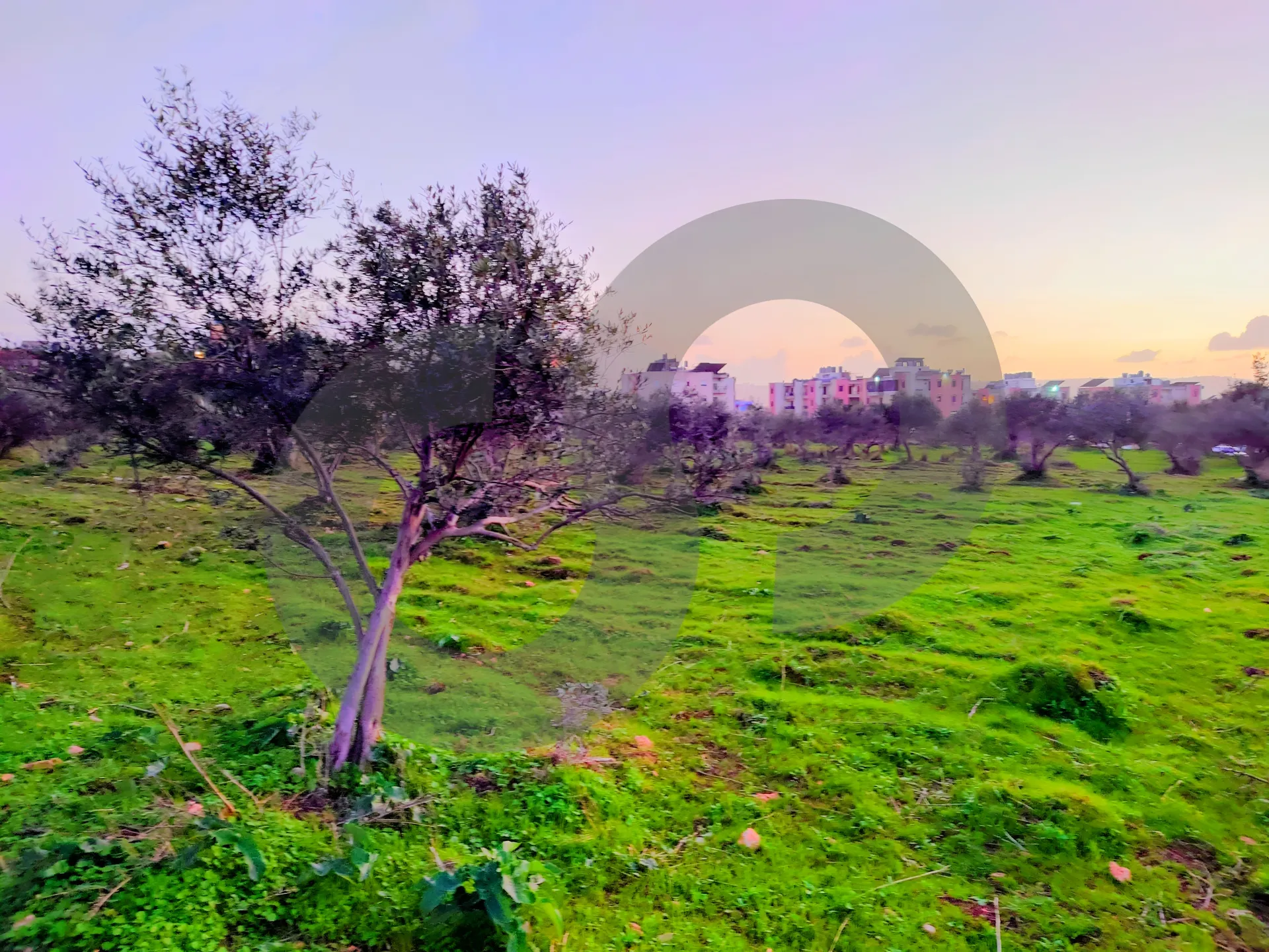 Land for Sale in Majdalaya