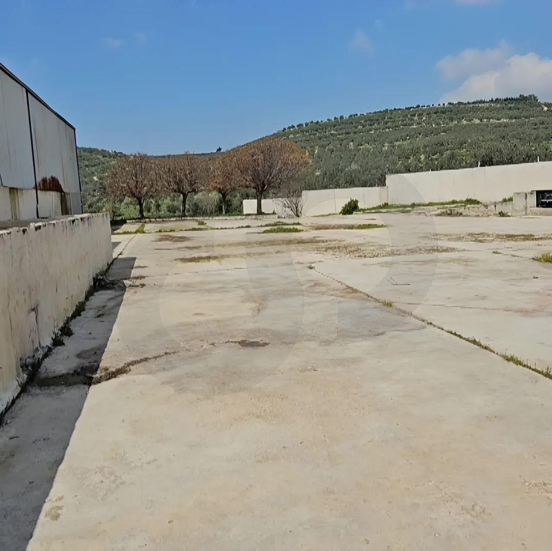 Land for Sale in Koura