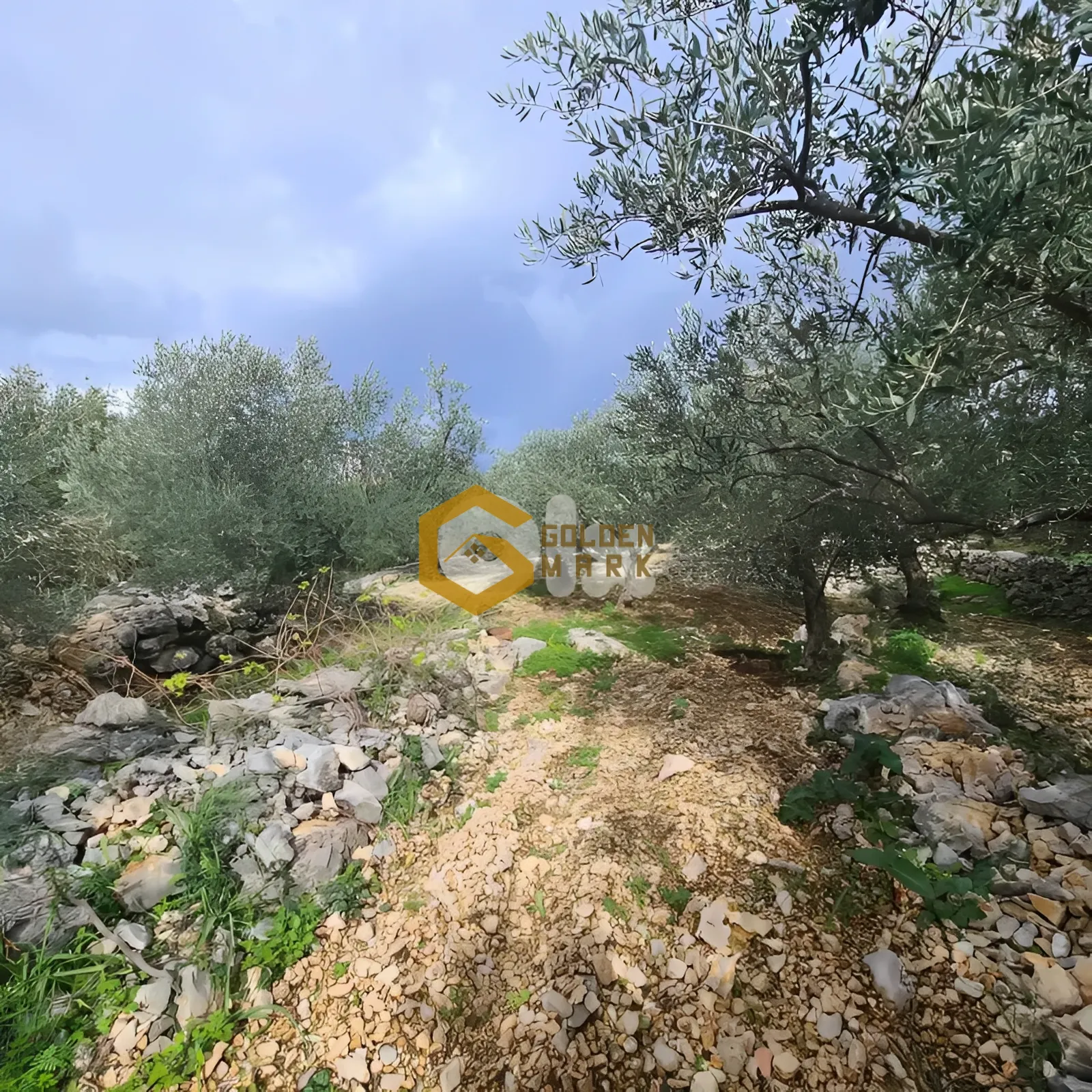 Land for Sale in Byblos