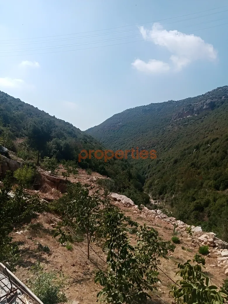 Land for Sale in Haqel