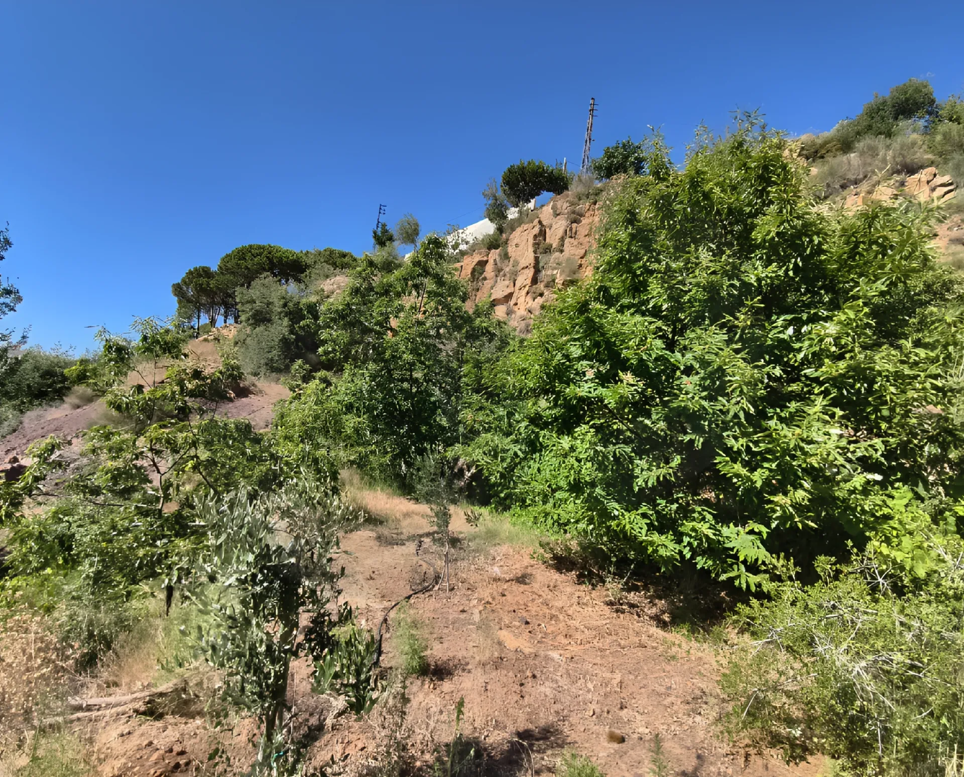 Land for Sale in Zgharta