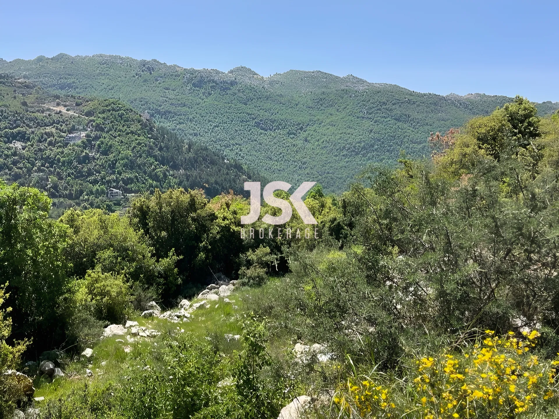 Land for Sale in Chahtoul
