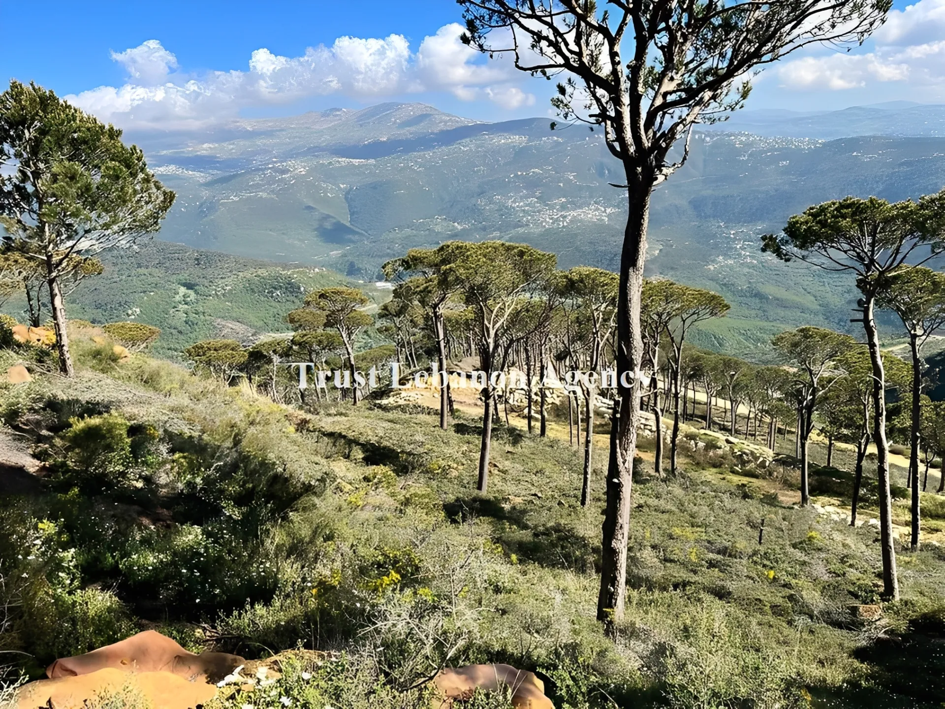 Land for Sale in Metn Al Kaakour Lebanon