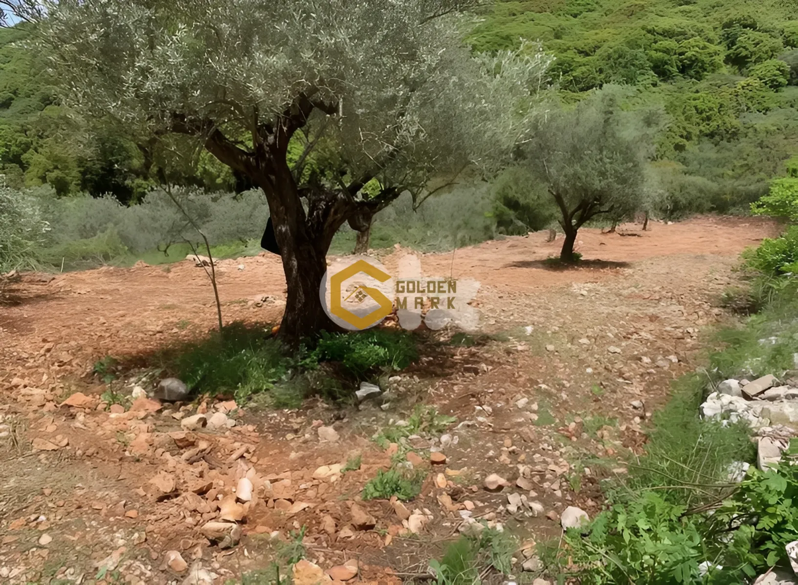 Land for Sale in Bejjeh