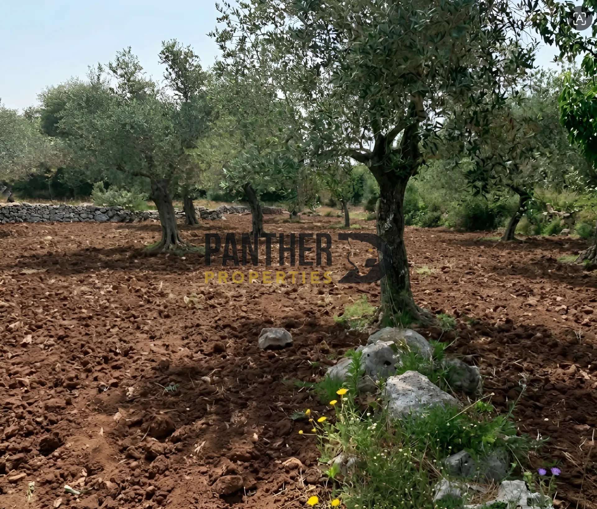 Residential Land for sale in Zgharta