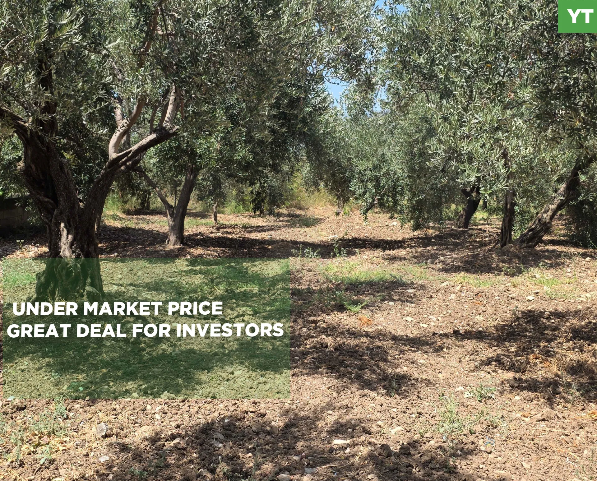 Land for Sale in Kfarsaroun
