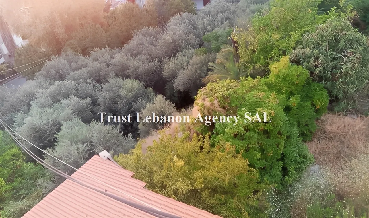 Land for Sale in Tyre