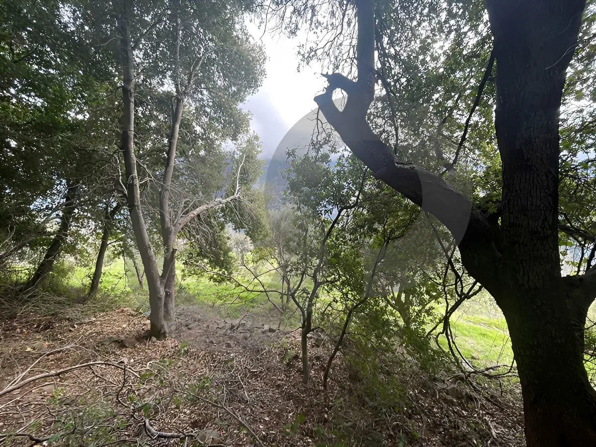 Land for Sale in Byblos, Lebanon