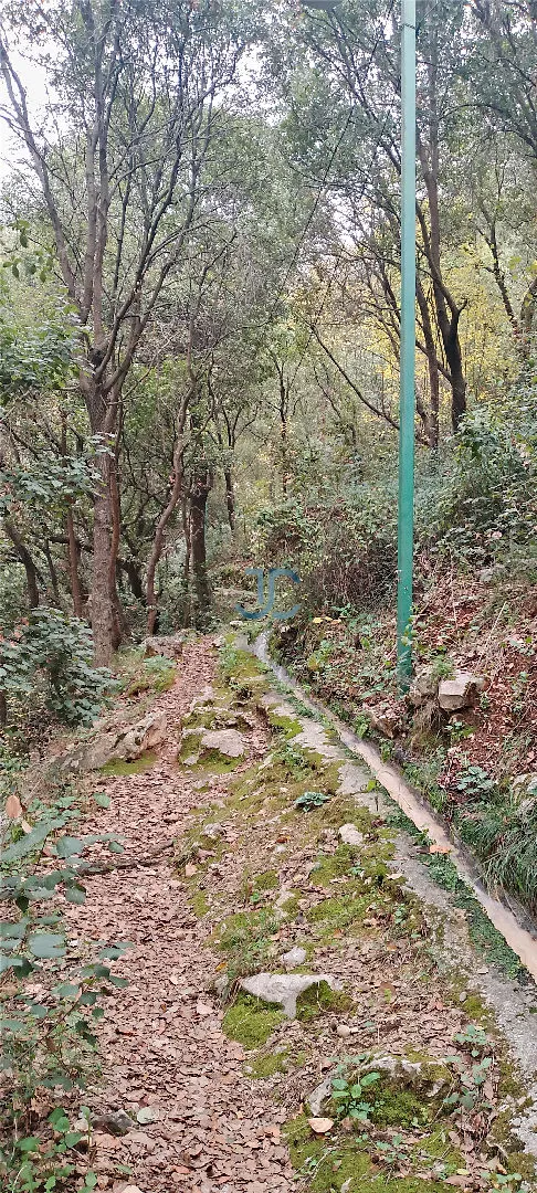 Land for sale in Sahel alma, lebanon