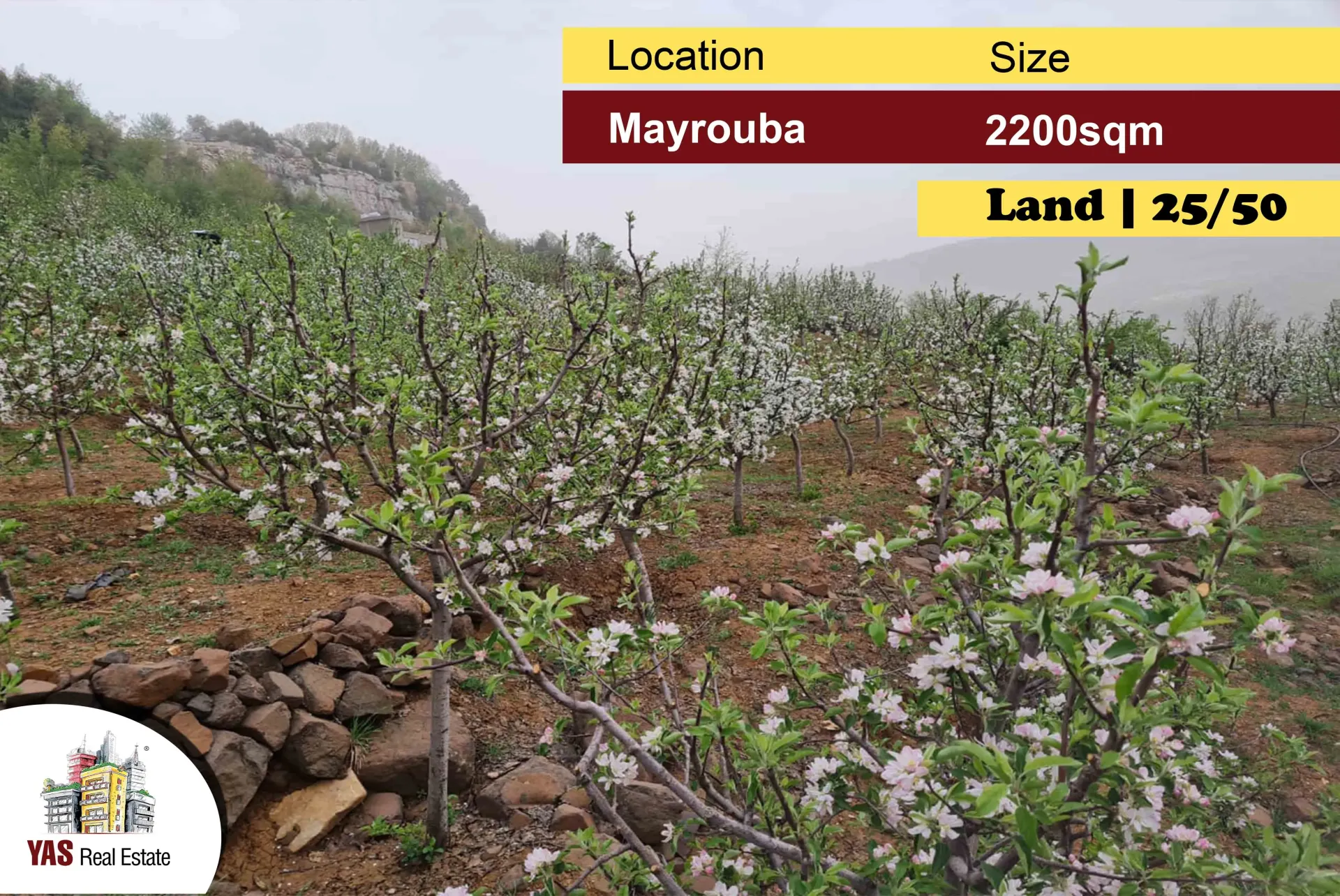 Land for Sale in Mayrouba