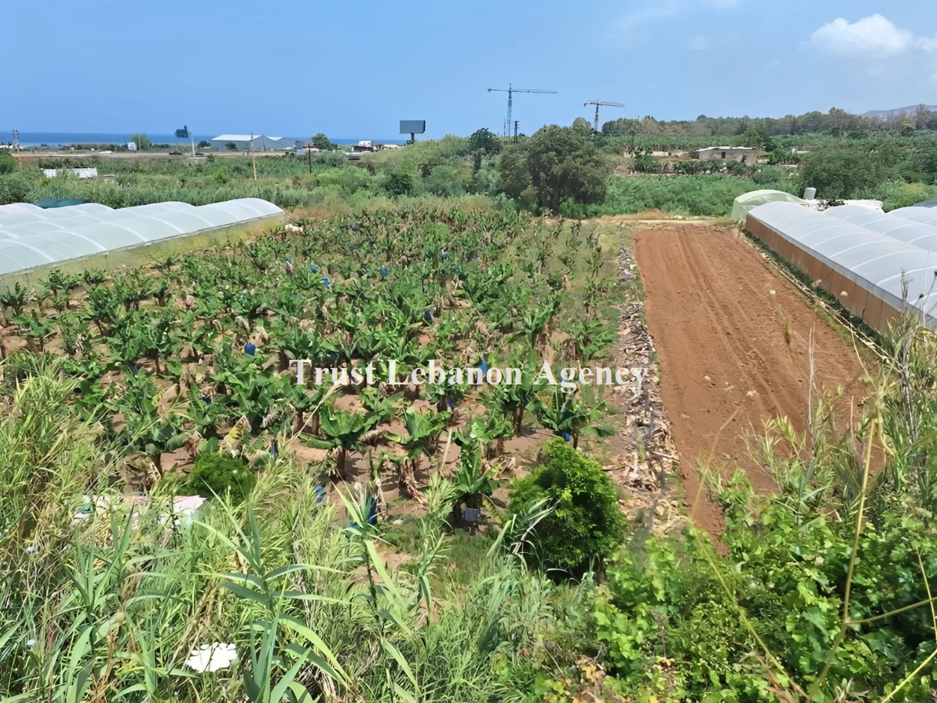 Land for Sale in Chouf Damour Lebanon