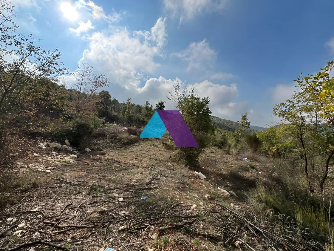 Land for Sale in Mechmech