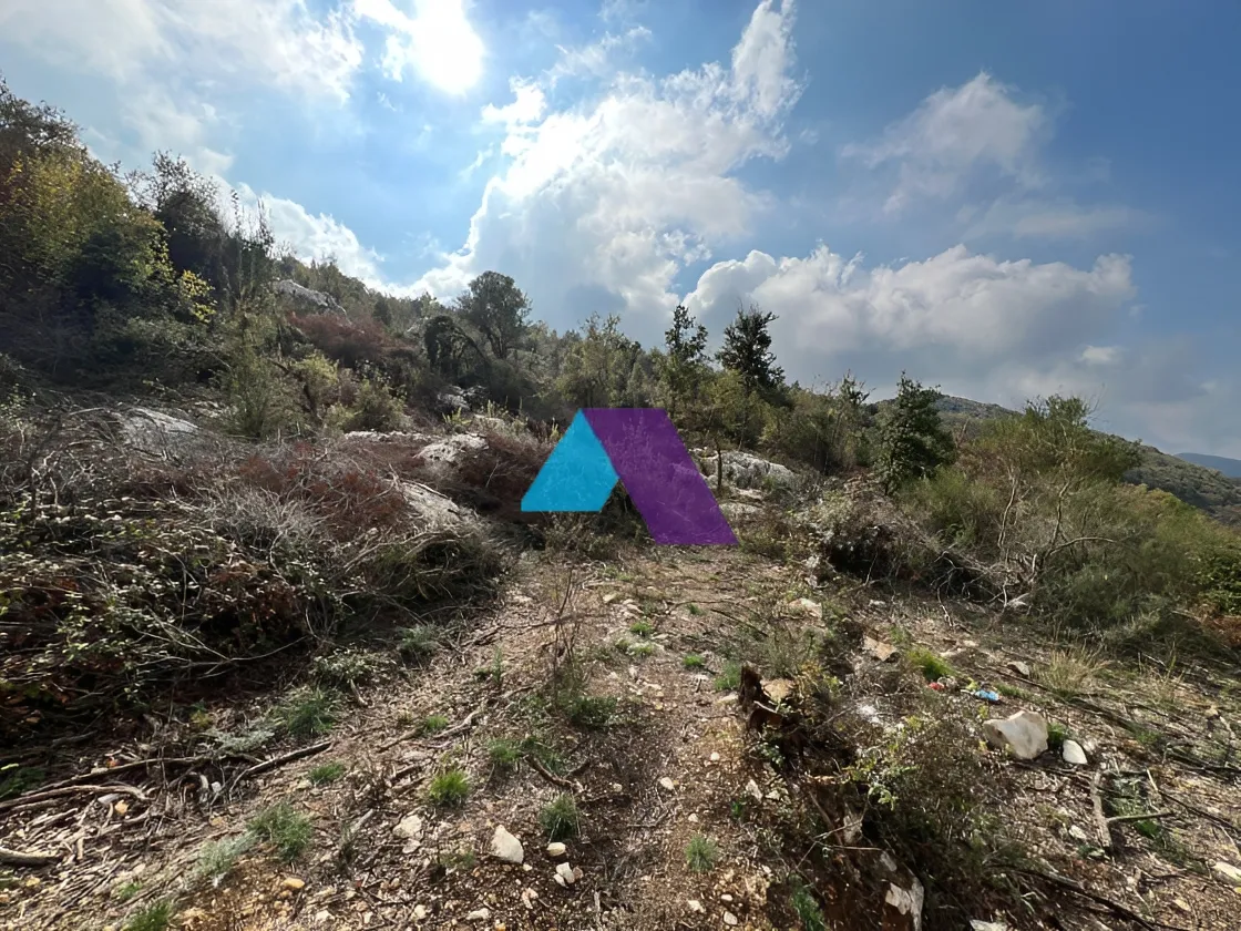 Land for Sale in Mechmech