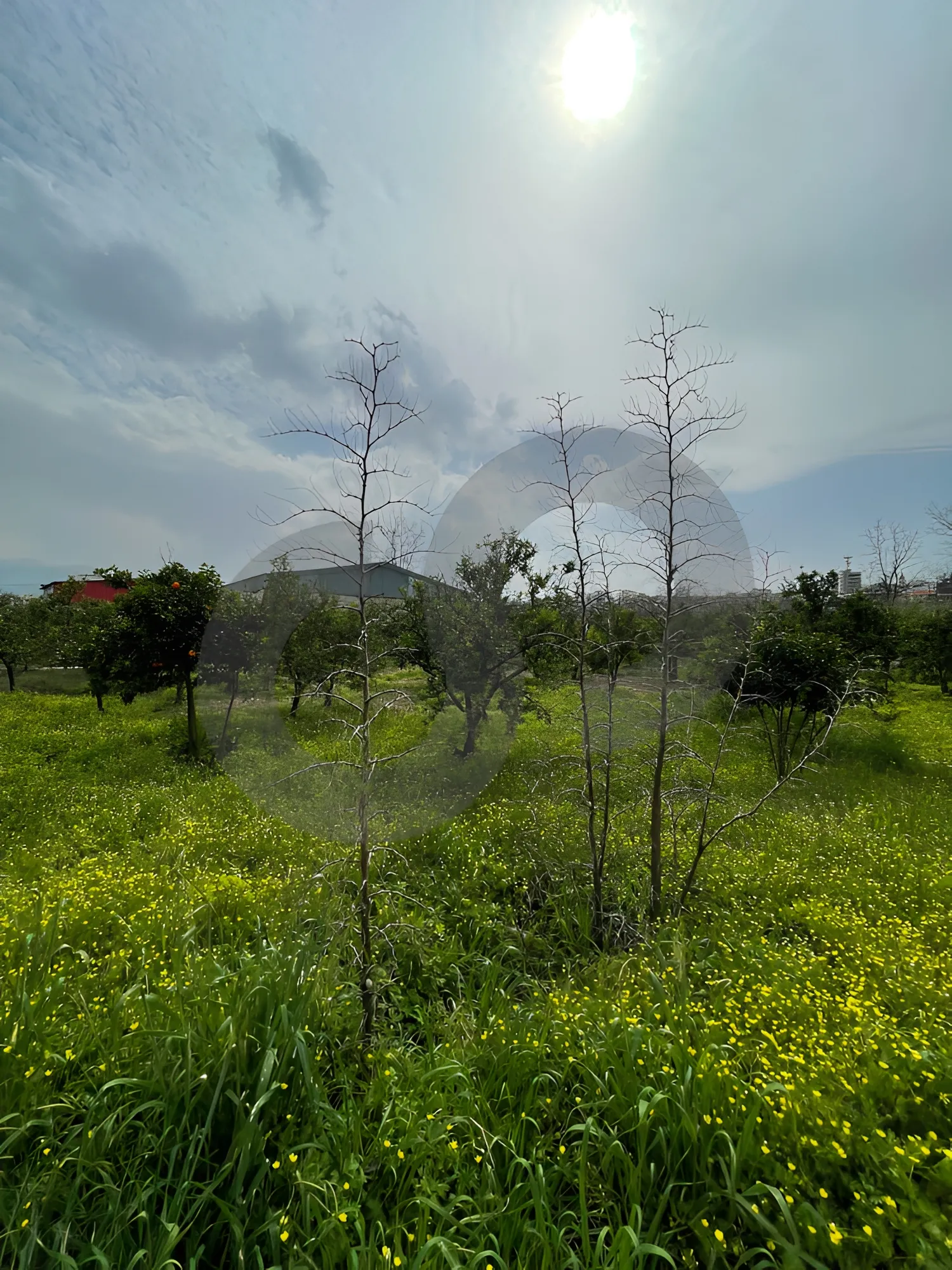 Land for Sale in Zgharta