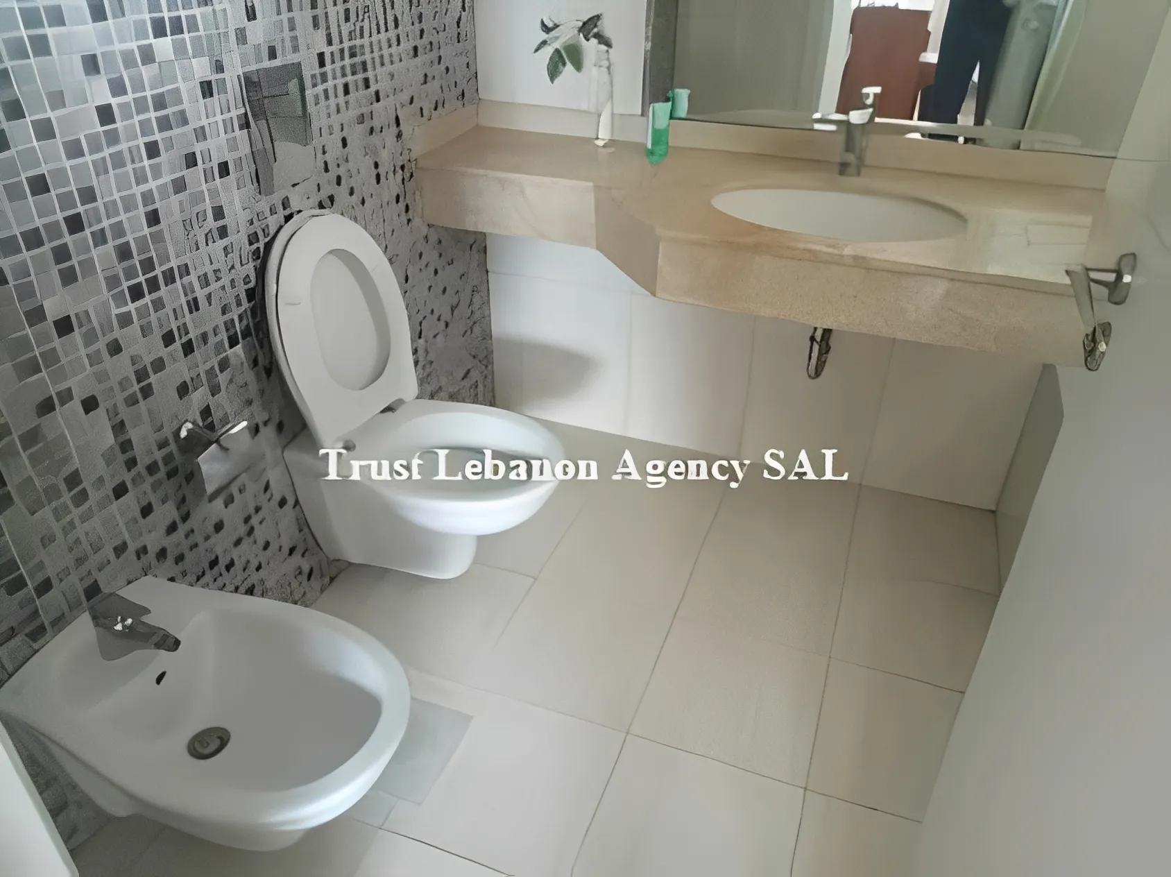 Apartment for Rent in Ashrafieh Beirut Lebanon
