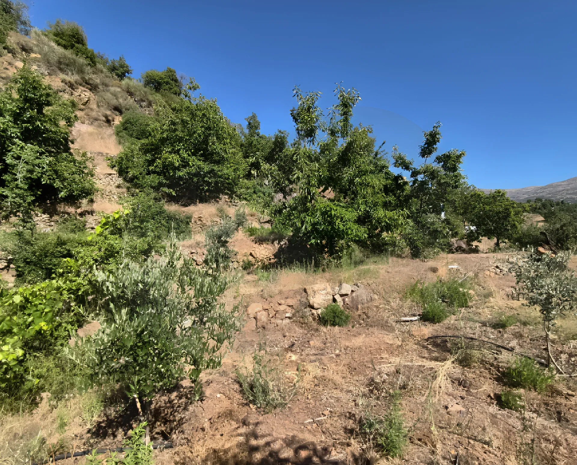 Land for Sale in Zgharta