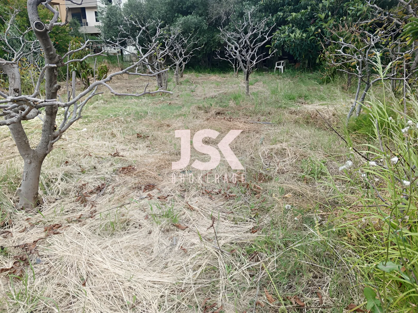 Land for Sale in Aamchit