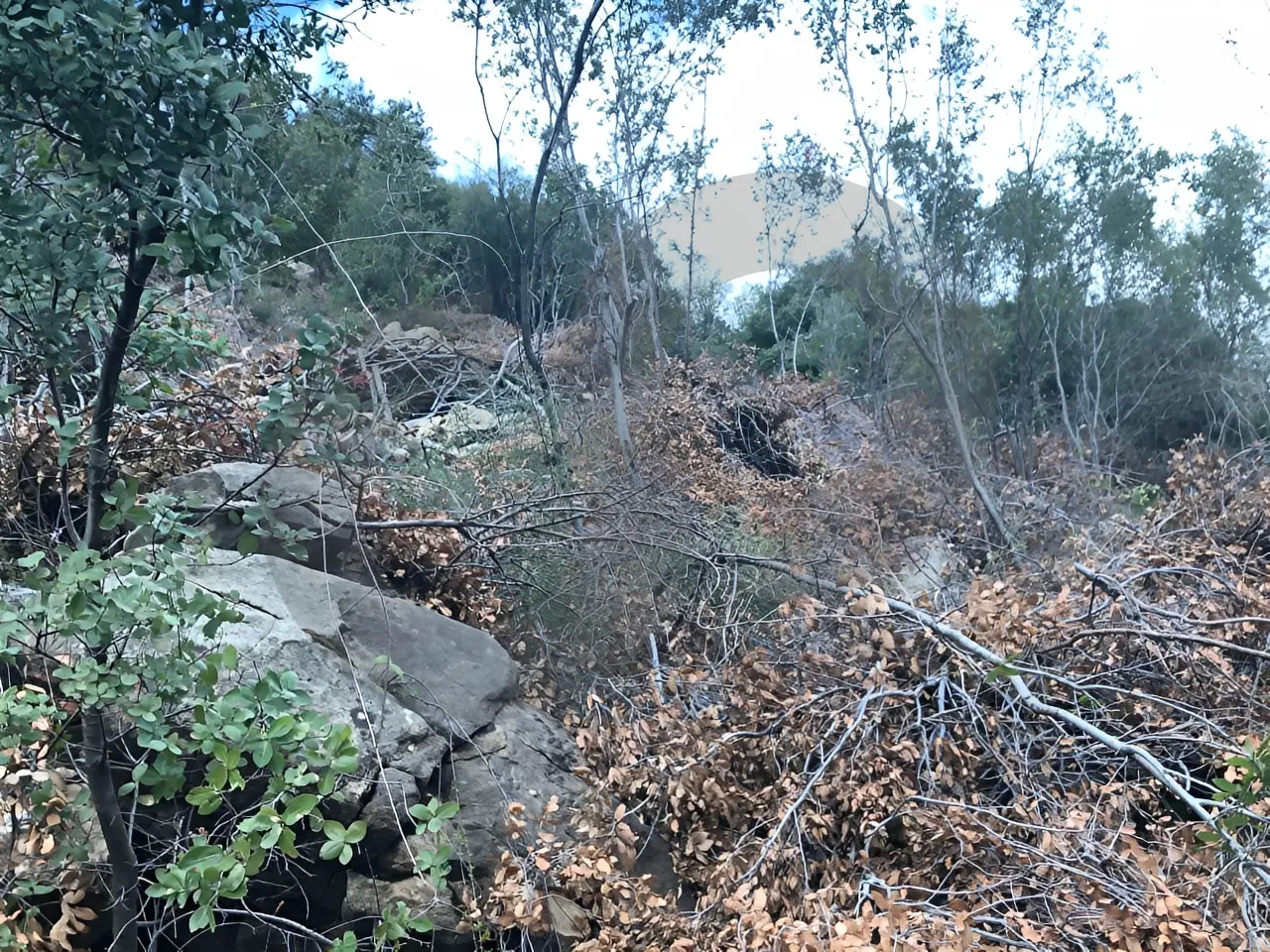 Land for Sale in Other