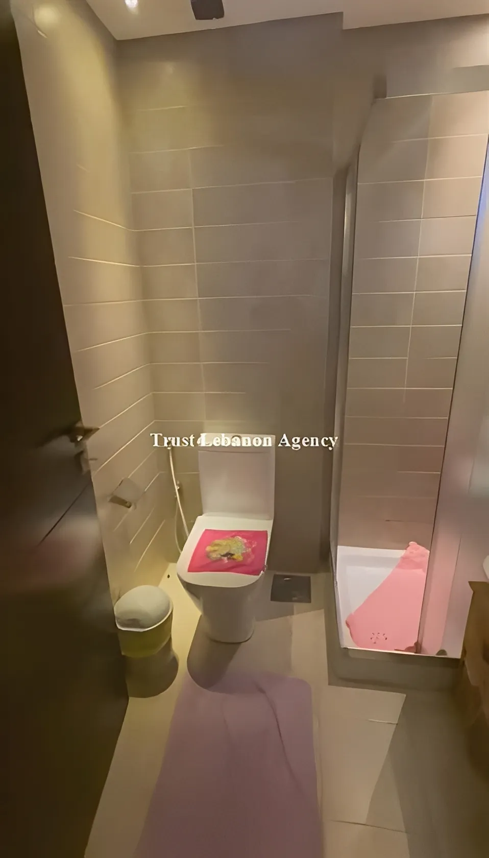 Apartment for Rent in Beirut Lebanon - 3 bed, 3 bath