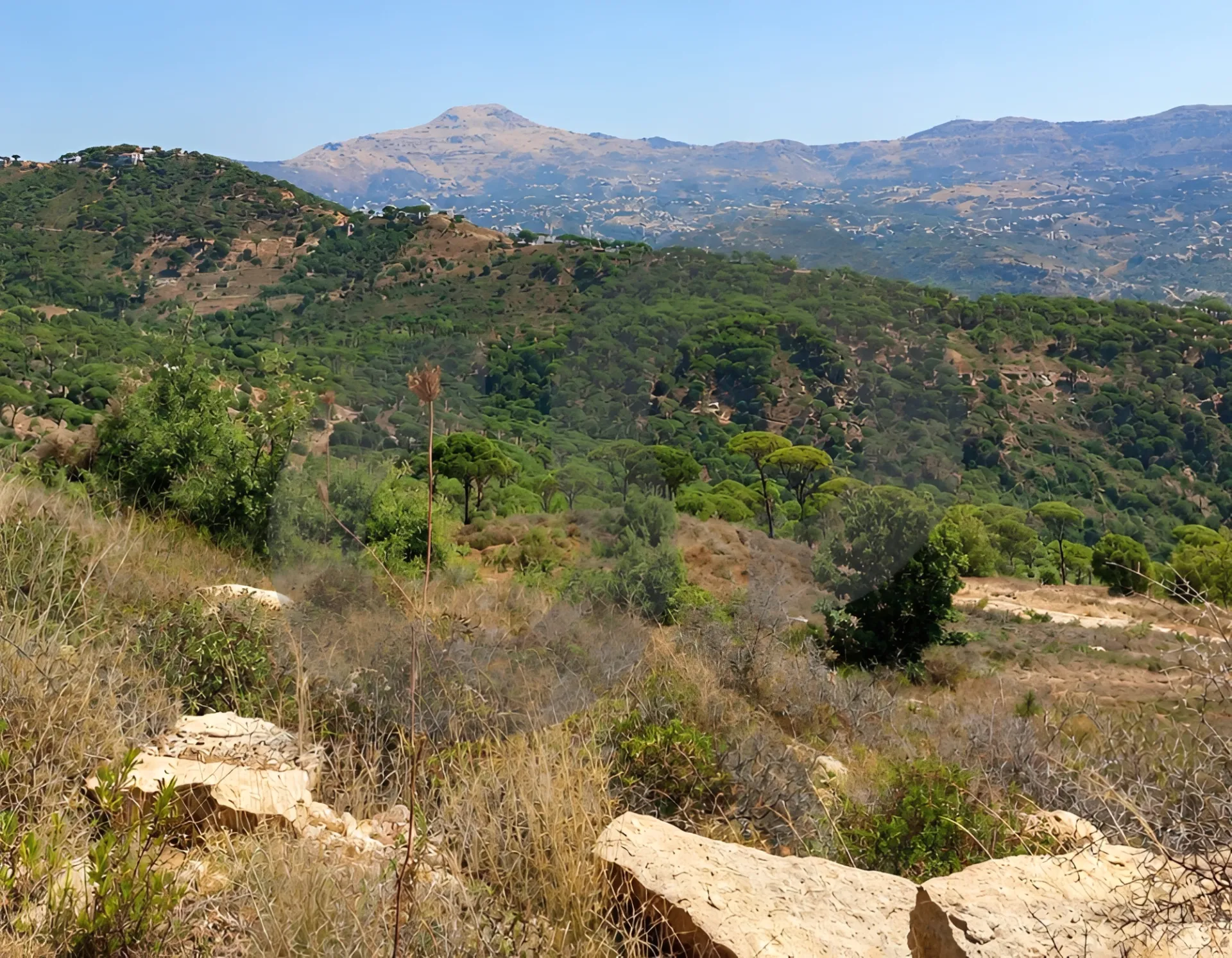Land for Sale in Ras El Matn