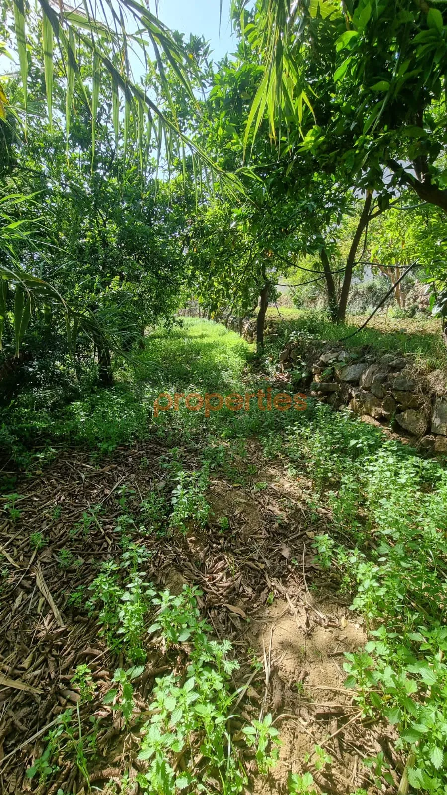 Residential Land for Rent in Kahaleh