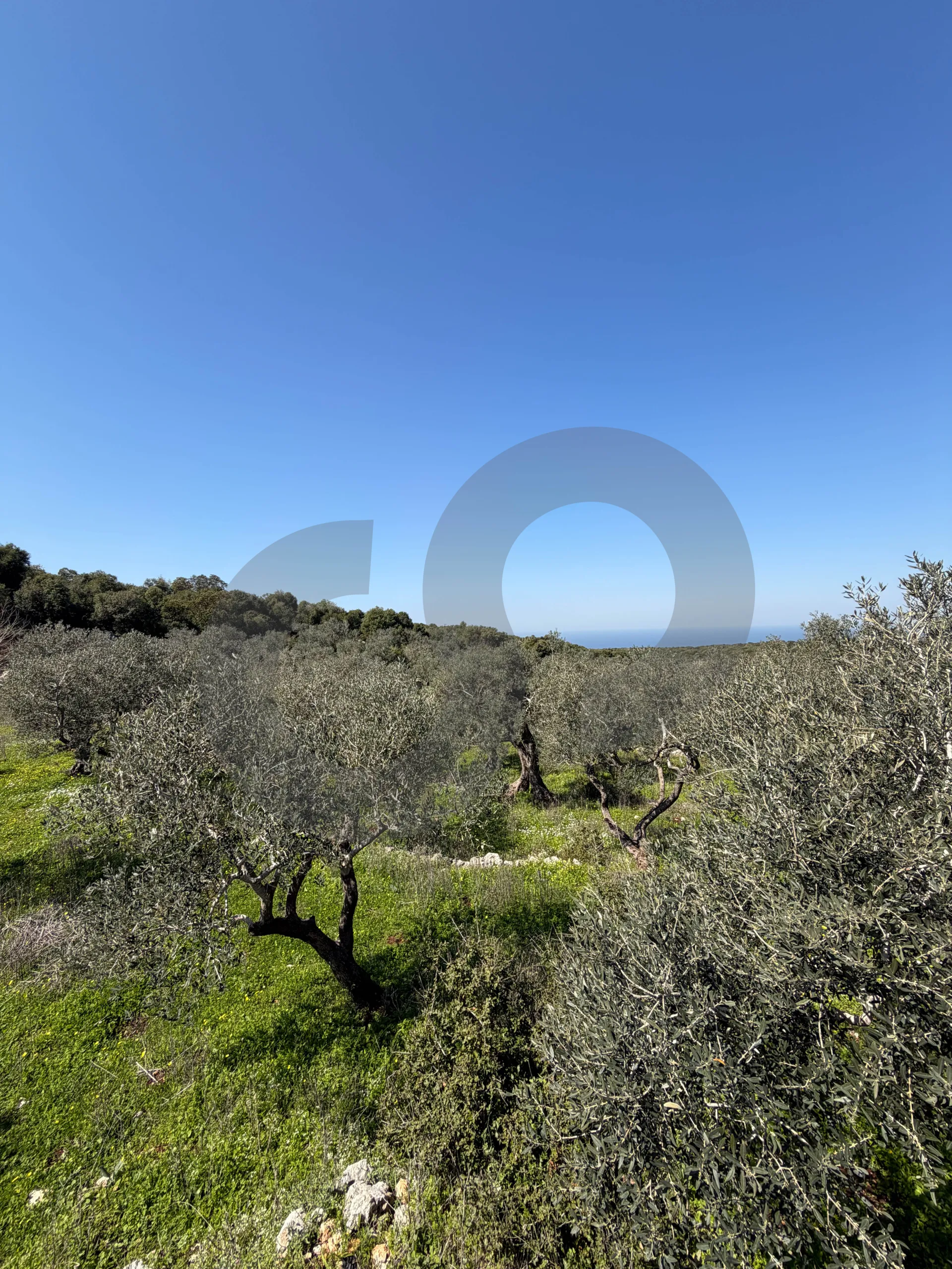 Land for Sale in Koura
