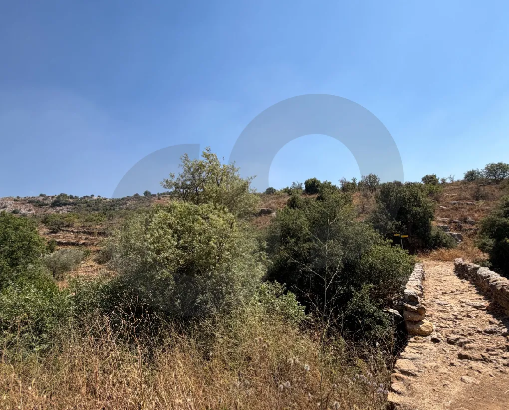 Land for Sale in Bhamdoun